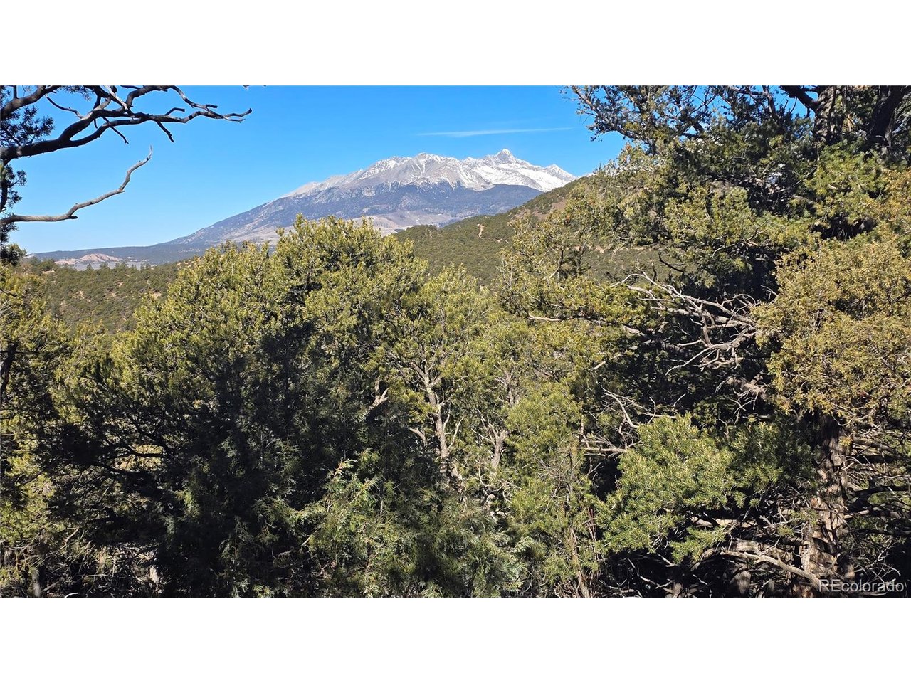4510 Iannelli Road Fort Garland, CO 81133 - Photo 7 of 27