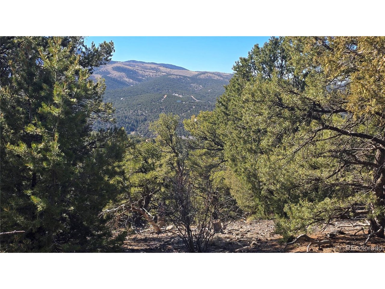 4510 Iannelli Road Fort Garland, CO 81133 - Photo 8 of 27