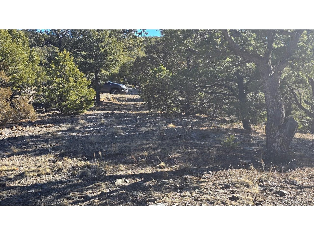 4510 Iannelli Road Fort Garland, CO 81133 - Photo 9 of 27