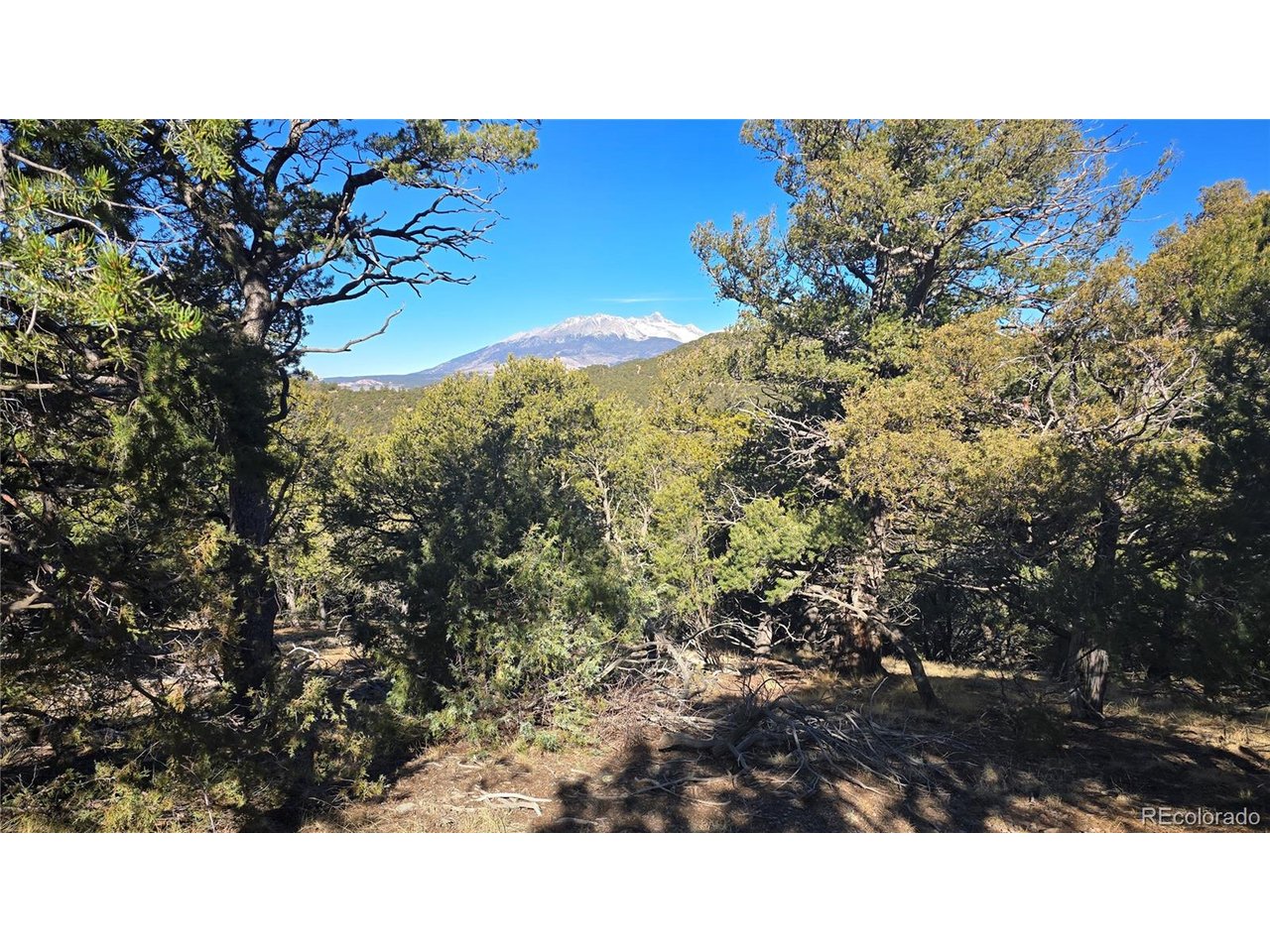 4510 Iannelli Road Fort Garland, CO 81133 - Photo 10 of 27