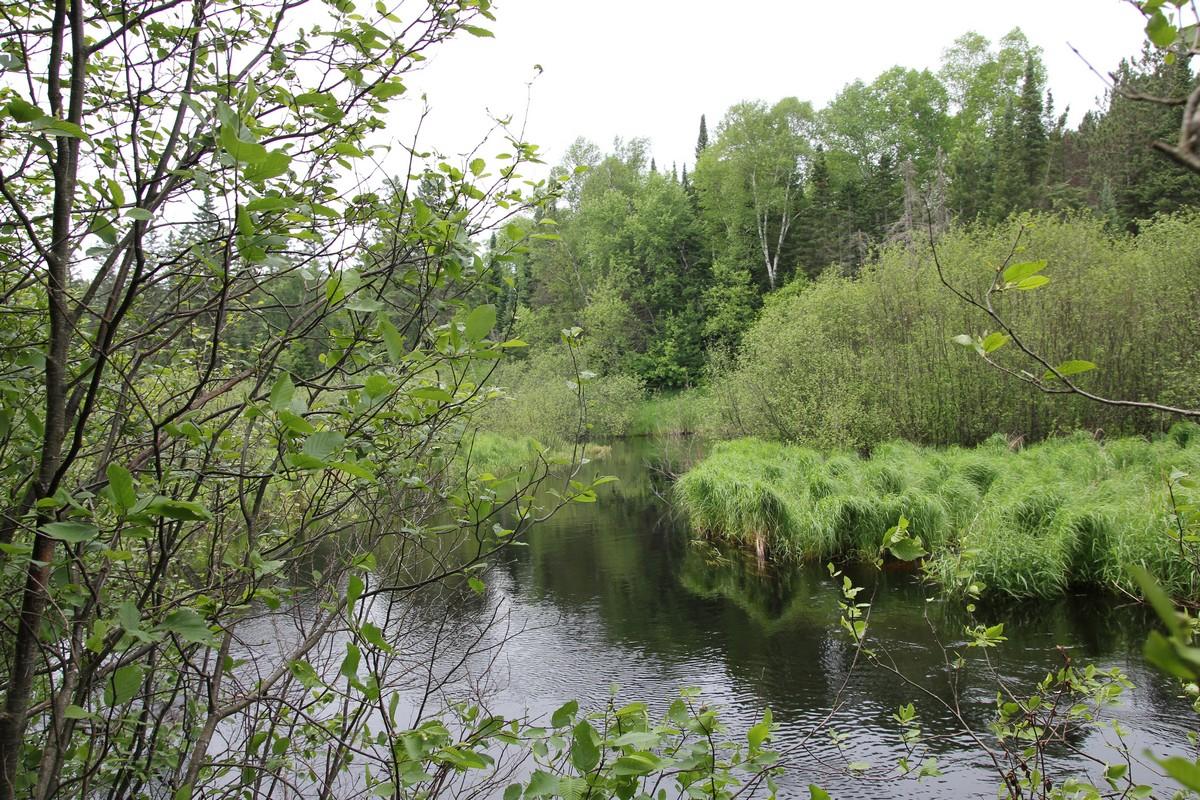 On Dyer Road, Unit LOT 15 Eagle River, WI 54521 - Photo 1 of 7 Gallery Image 1
