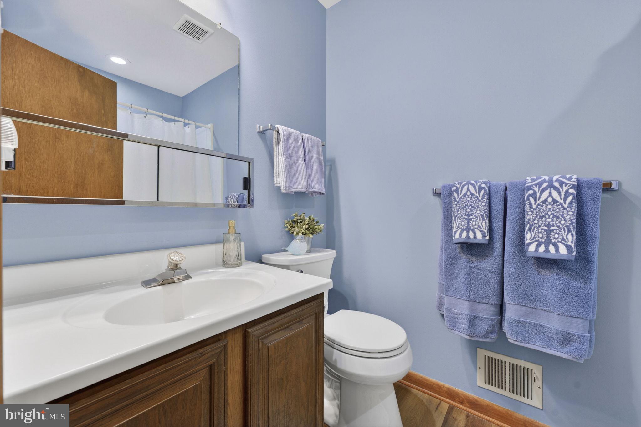 6030 Snow Mountain Road Broad Run, VA 20137 - Photo 24 of 48