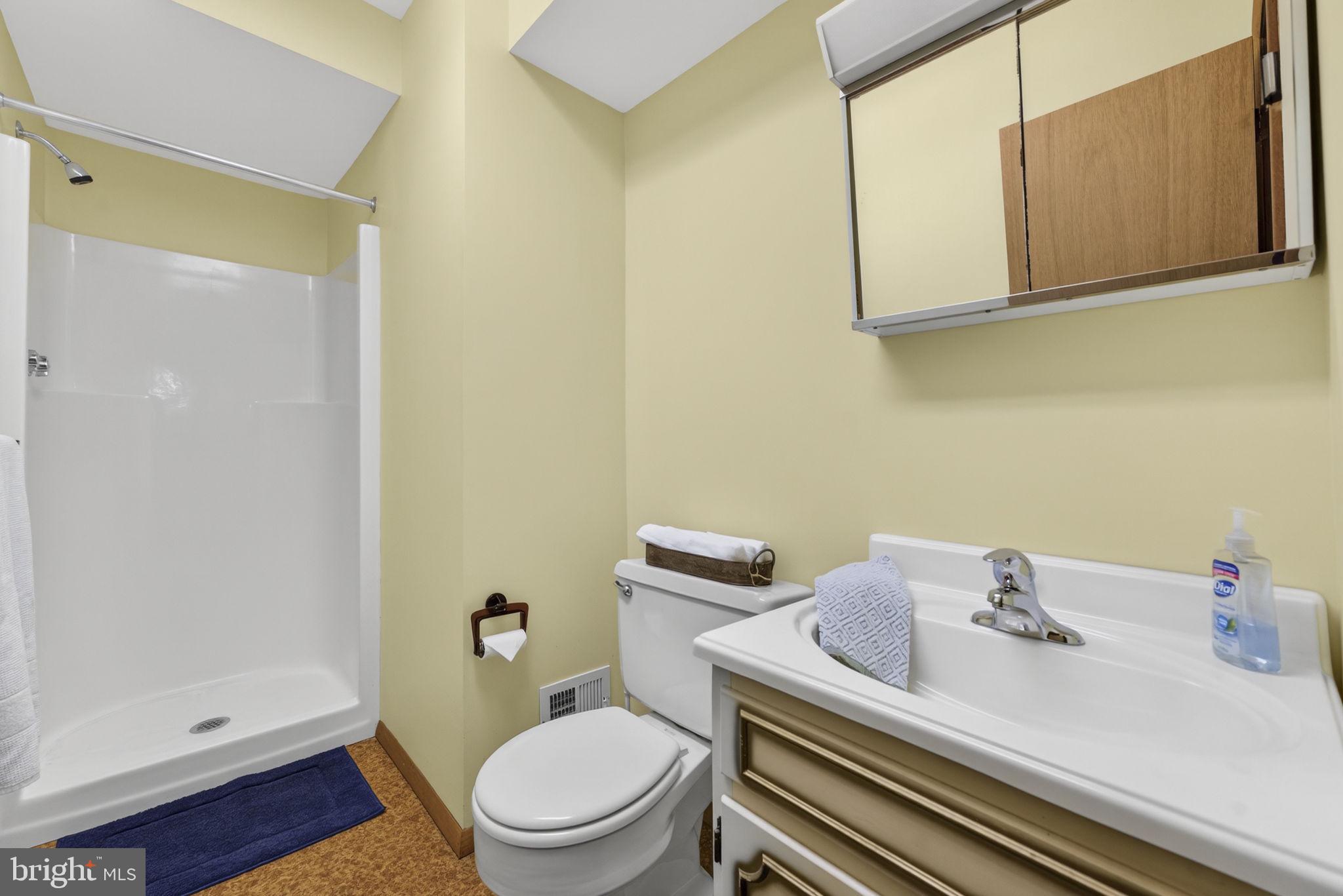 6030 Snow Mountain Road Broad Run, VA 20137 - Photo 38 of 48