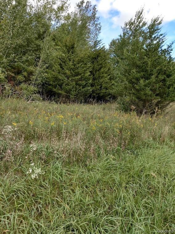 Parcel B Castle Road Otter Lake, MI 48464 - Photo 1 of 6