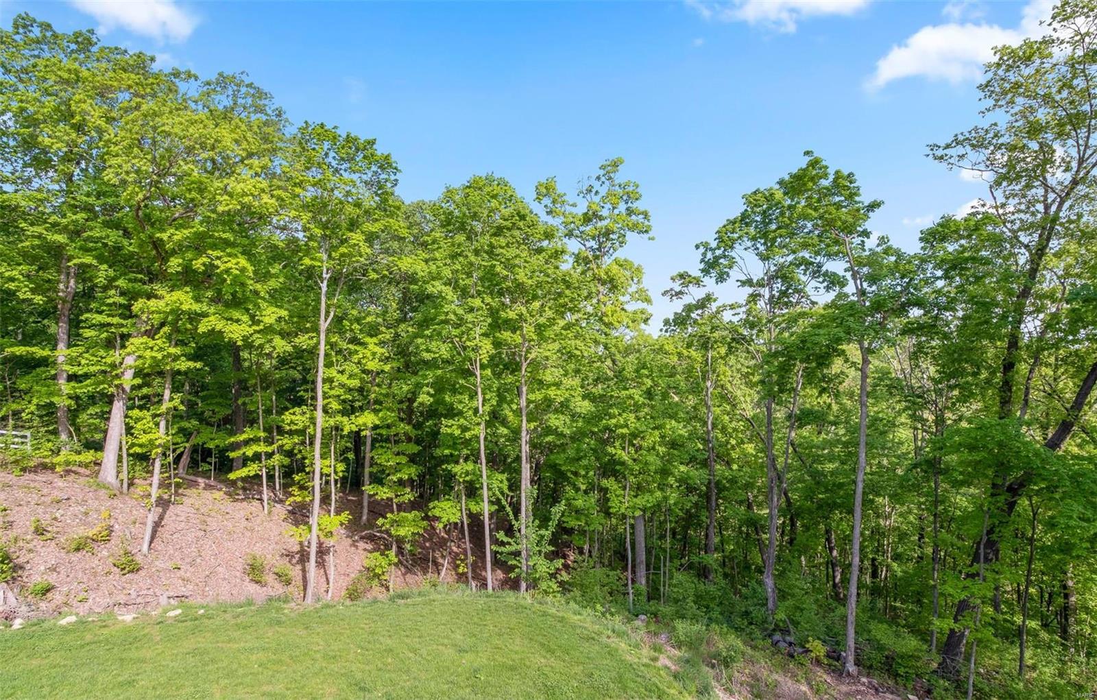 285 Callaway Ridge Drive Defiance, MO 63341 - Photo 10 of 46 Gallery Image 10
