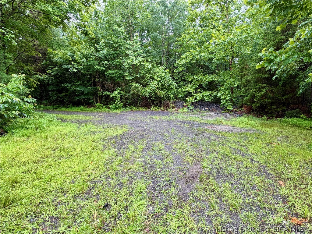 Pfister Road Otisco, IN 47163 - Photo 11 of 50