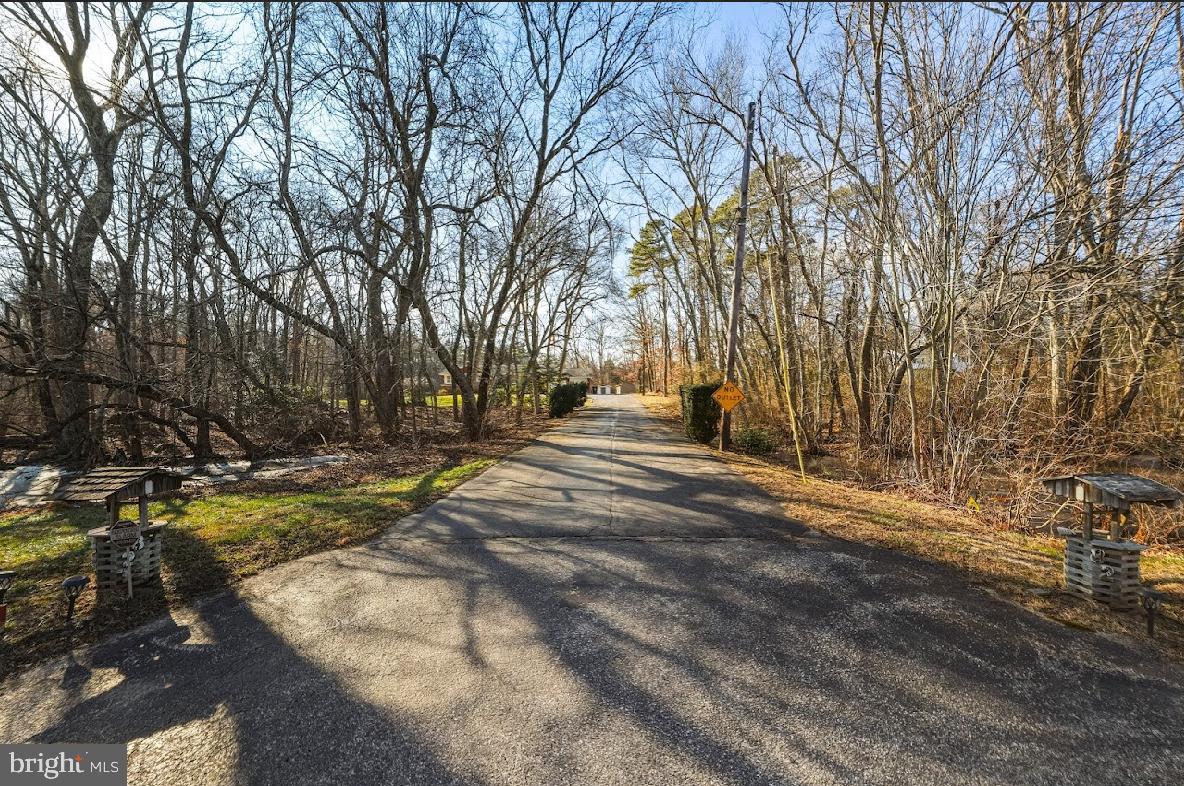 825 Mays Landing Road Hammonton, NJ 08037 - Photo 29 of 33 a view of dirt yard with a large tree
