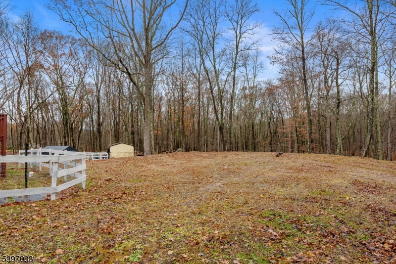 43 Meyers Road Montague, NJ 07827 - Photo 19 of 23 a view of a yard with trees