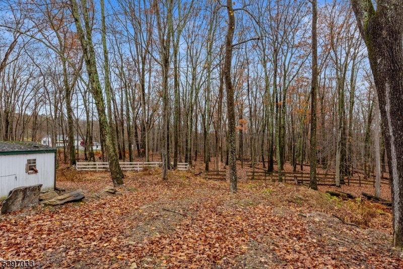 43 Meyers Road Montague, NJ 07827 - Photo 20 of 23 a backyard of a house with lots of green space