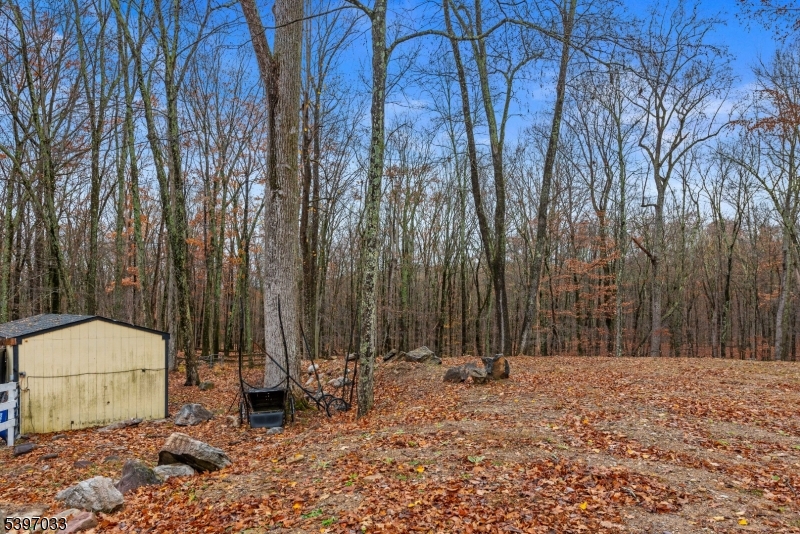 43 Meyers Road Montague, NJ 07827 - Photo 22 of 23 a backyard of a house with a large tree