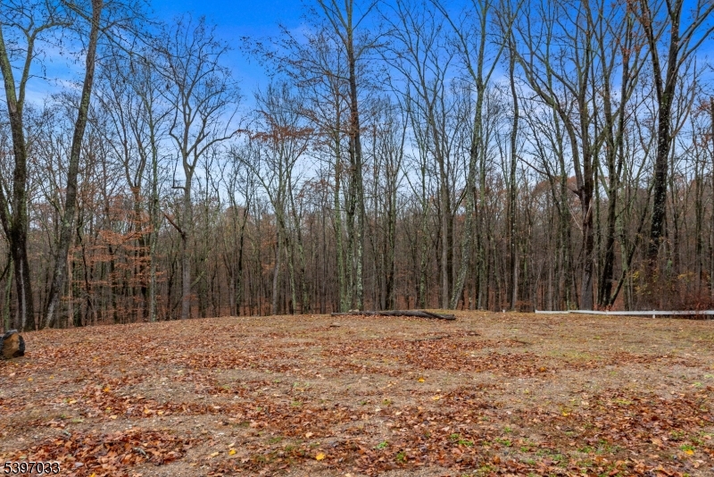 43 Meyers Road Montague, NJ 07827 - Photo 23 of 23 a view of outdoor space with trees