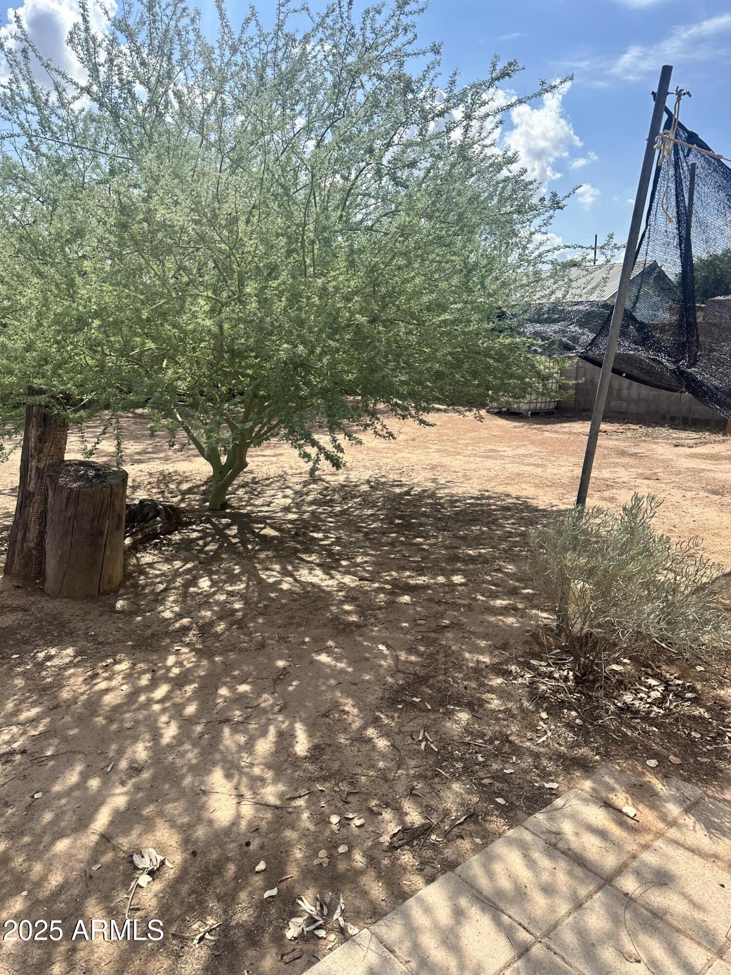 2621 North 14th Street Phoenix, AZ 85006 - Photo 4 of 24 a view of outdoor space and yard