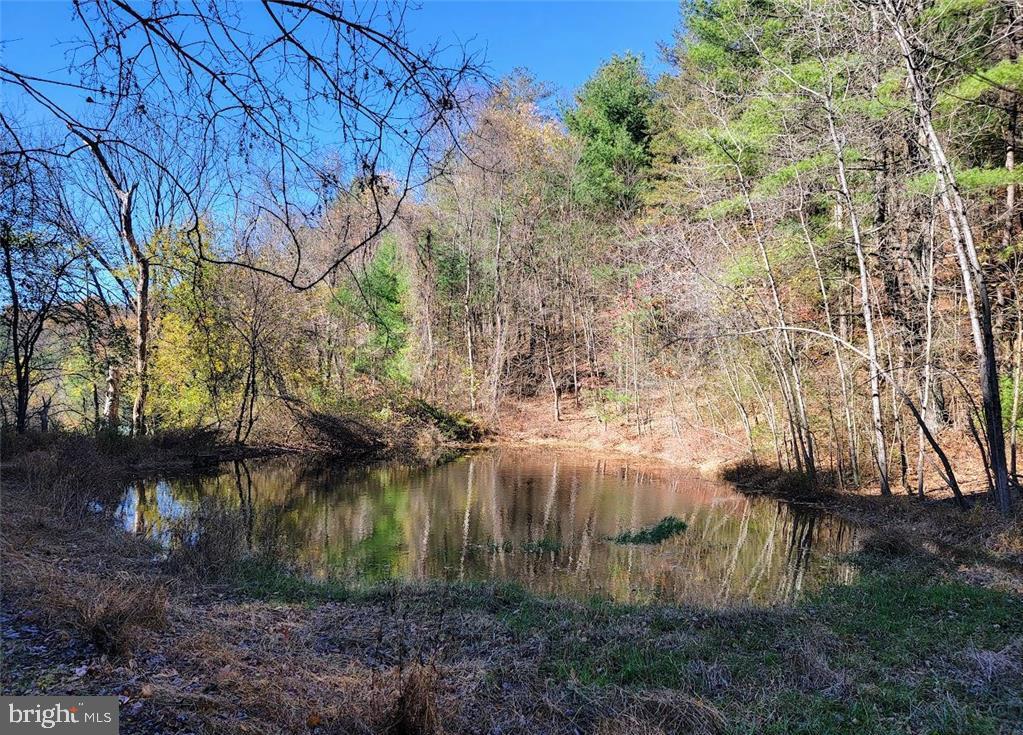 313 North Fireline Road Parryville, PA 18071 - Photo 29 of 56 Pond to the left of the home