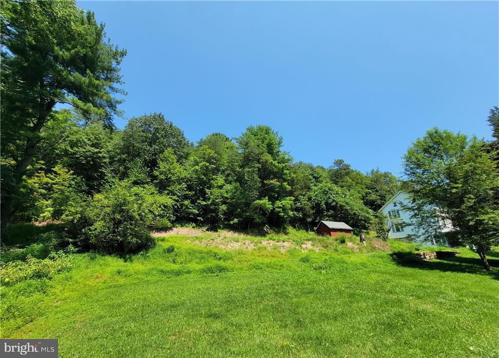313 North Fireline Road Parryville, PA 18071 - Photo 30 of 56 View from the pond