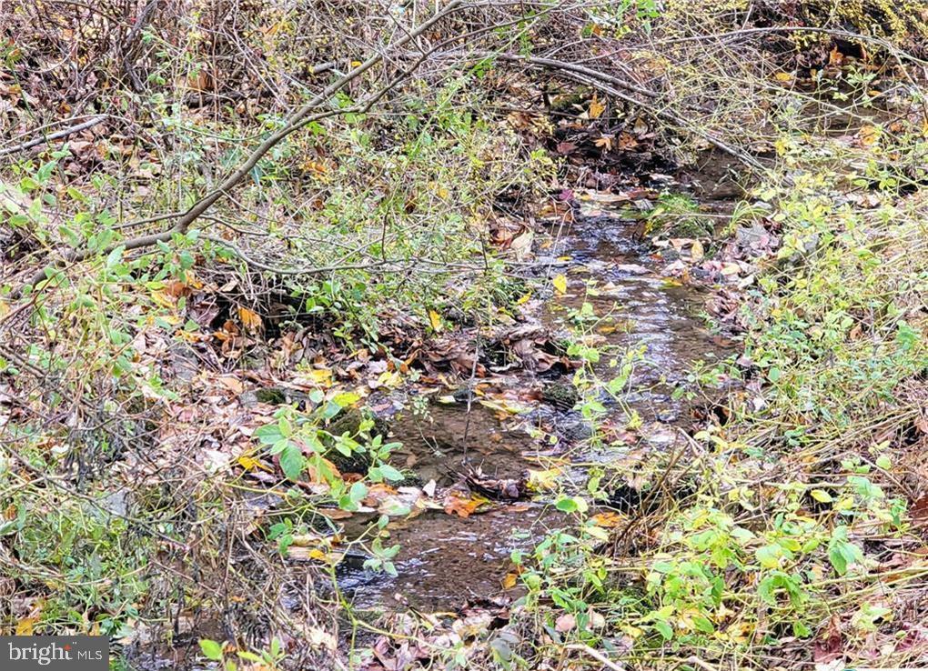 313 North Fireline Road Parryville, PA 18071 - Photo 31 of 56 Creek in front of the home