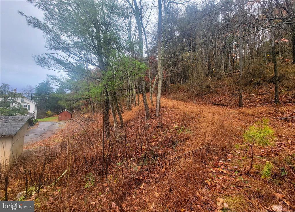 313 North Fireline Road Parryville, PA 18071 - Photo 33 of 56 ATV/walking road to upper part of lot turns left h