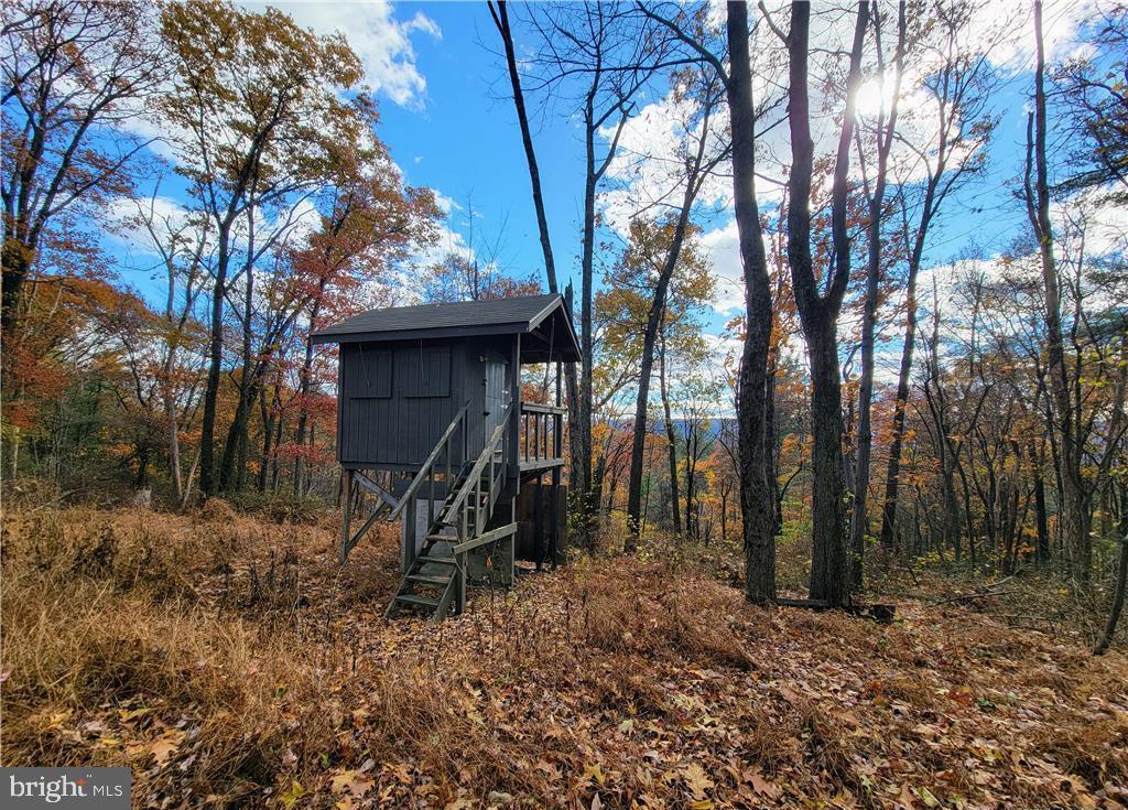 313 North Fireline Road Parryville, PA 18071 - Photo 34 of 56 Hunting stand on mountain behind the home