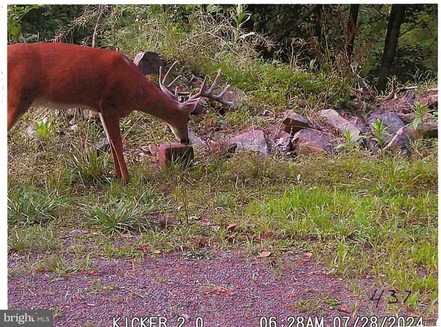 $335,000 | 313 North Fireline Road, Parryville, PA 18071