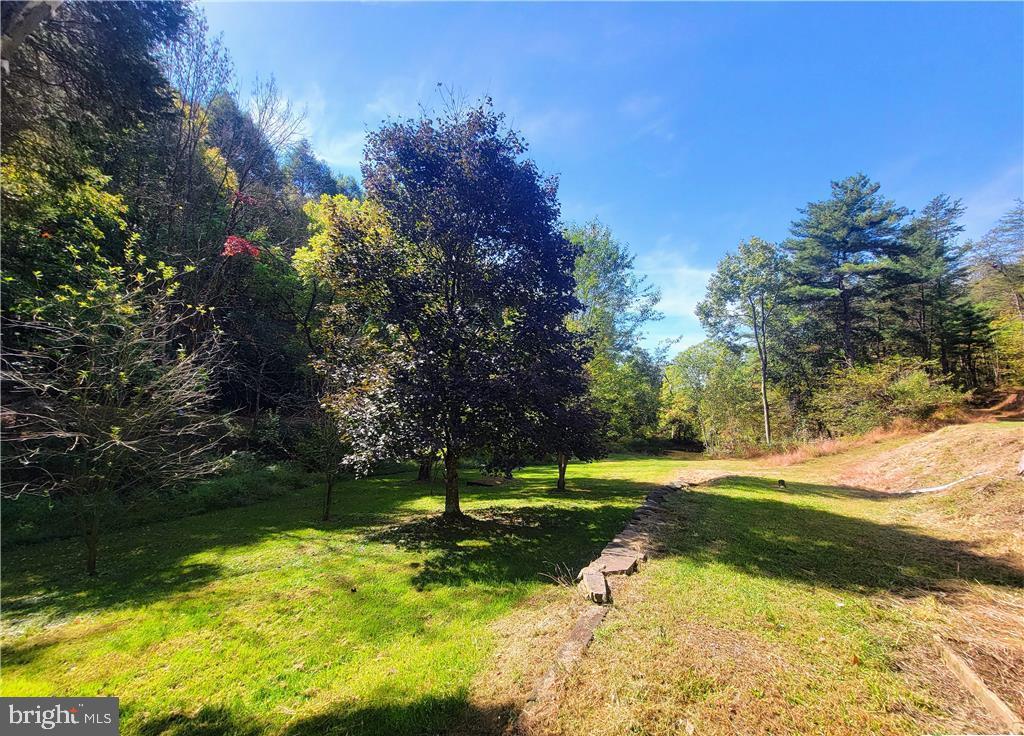 313 North Fireline Road Parryville, PA 18071 - Photo 41 of 56 View from porch facing pond