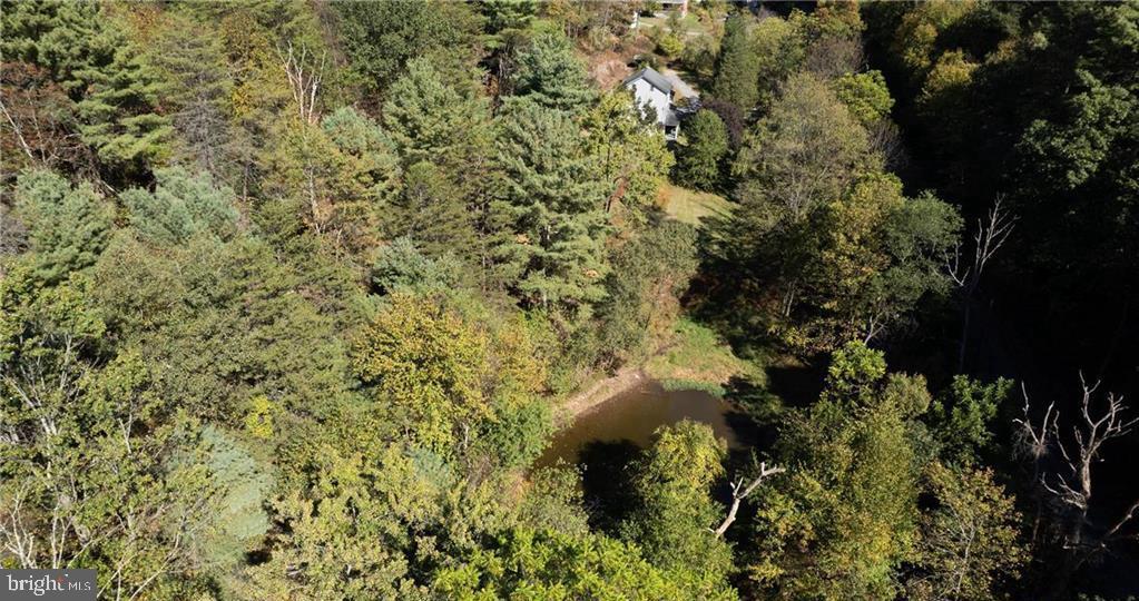 313 North Fireline Road Parryville, PA 18071 - Photo 43 of 56 Expansive private location