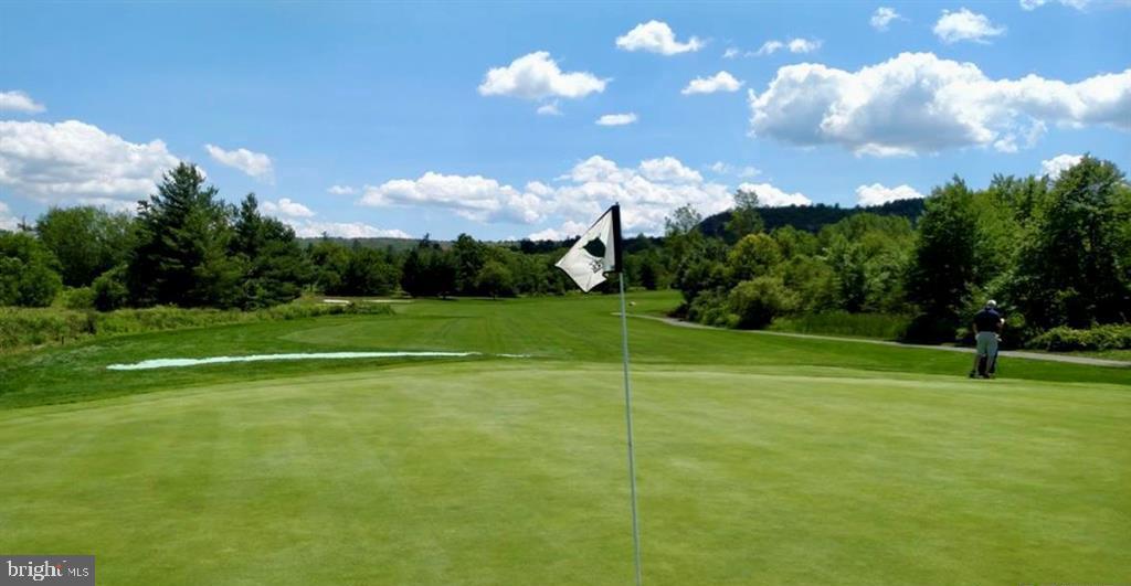 313 North Fireline Road Parryville, PA 18071 - Photo 46 of 56 7 mins from Blue Shamrock Golf Course