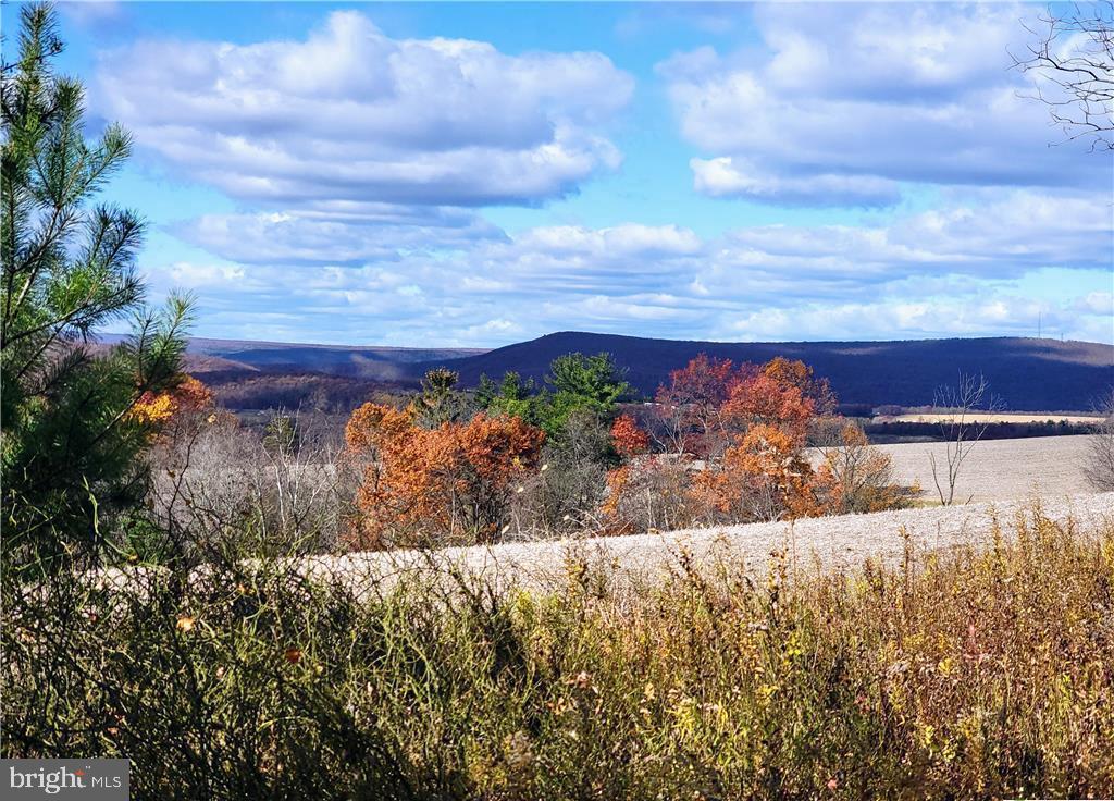313 North Fireline Road Parryville, PA 18071 - Photo 5 of 56 Mountain views from the northeast corner of proper