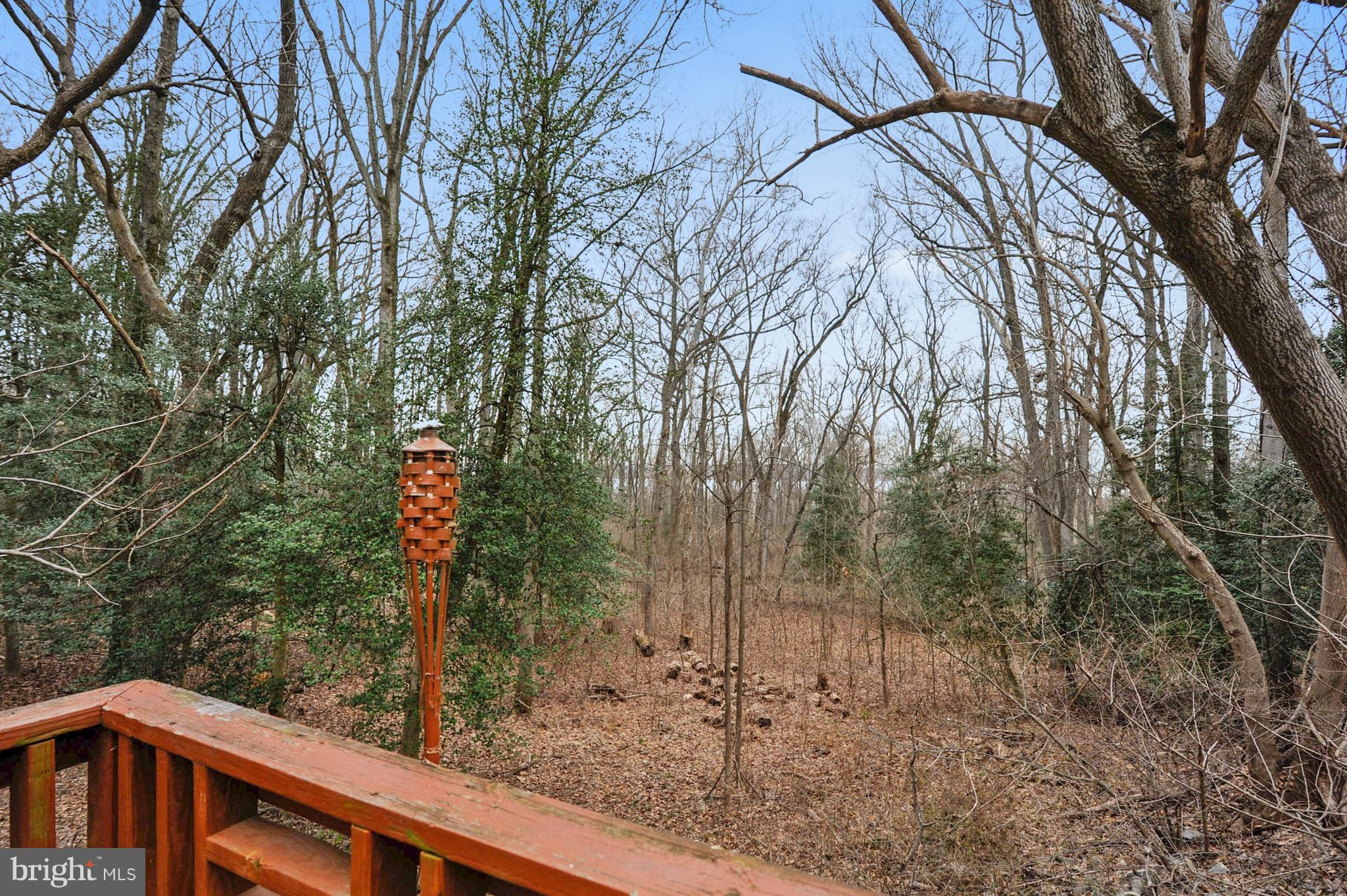 14607 Cactus Hill Road Accokeek, MD 20607 - Photo 2 of 30 Winter View of the Potomac River