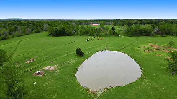a view of a lush green field