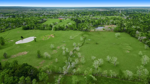 a view of a big yard with lots of green space
