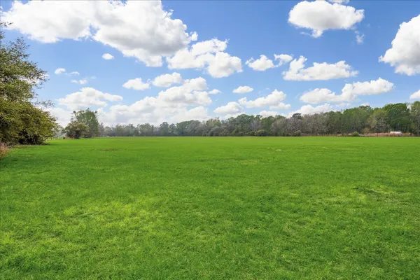a view of a field with grass