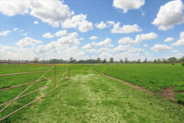 a view of field with green space