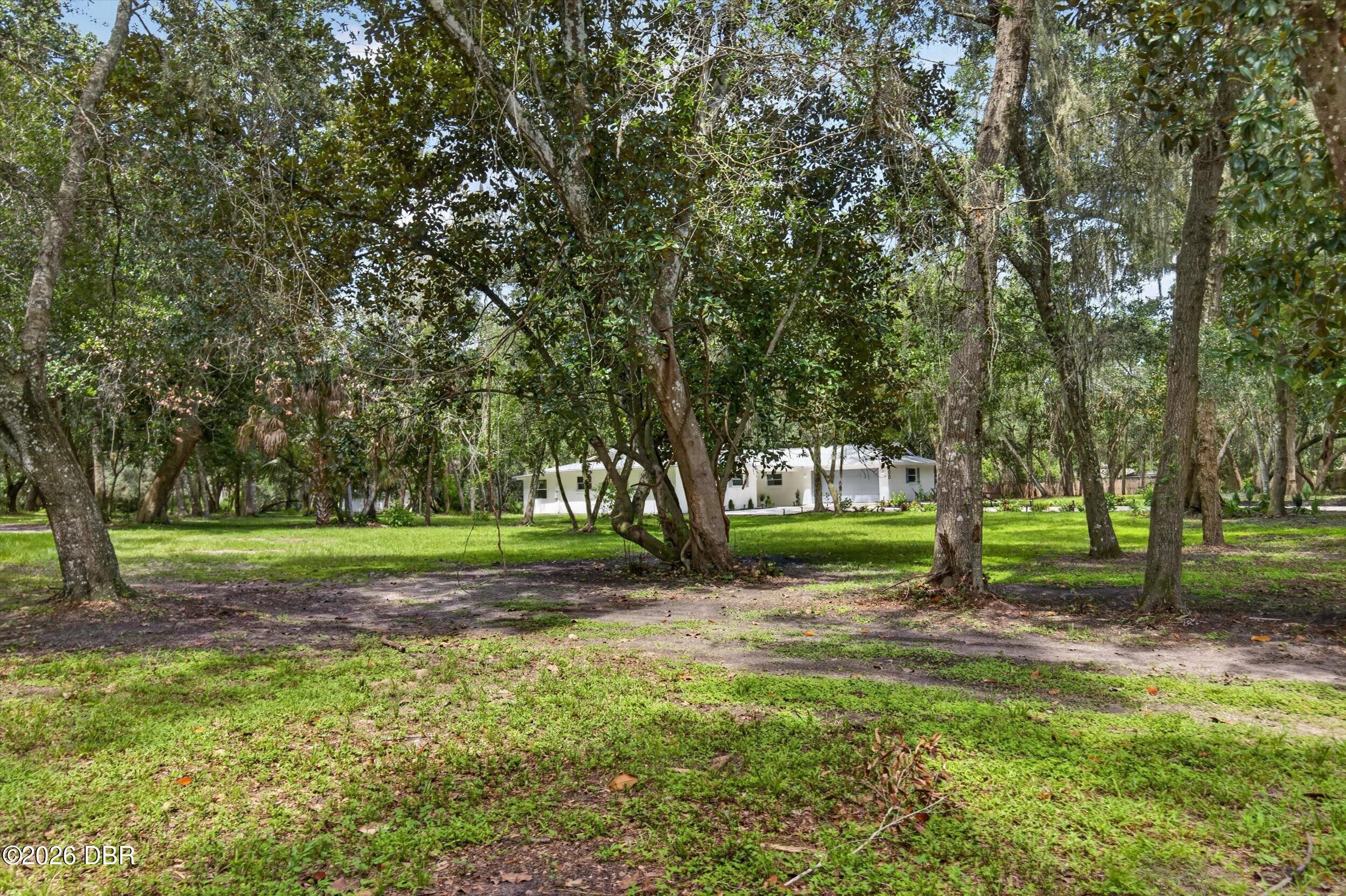 300 Scott Road Geneva, FL 32732 - Photo 77 of 83 021-BB4A5036