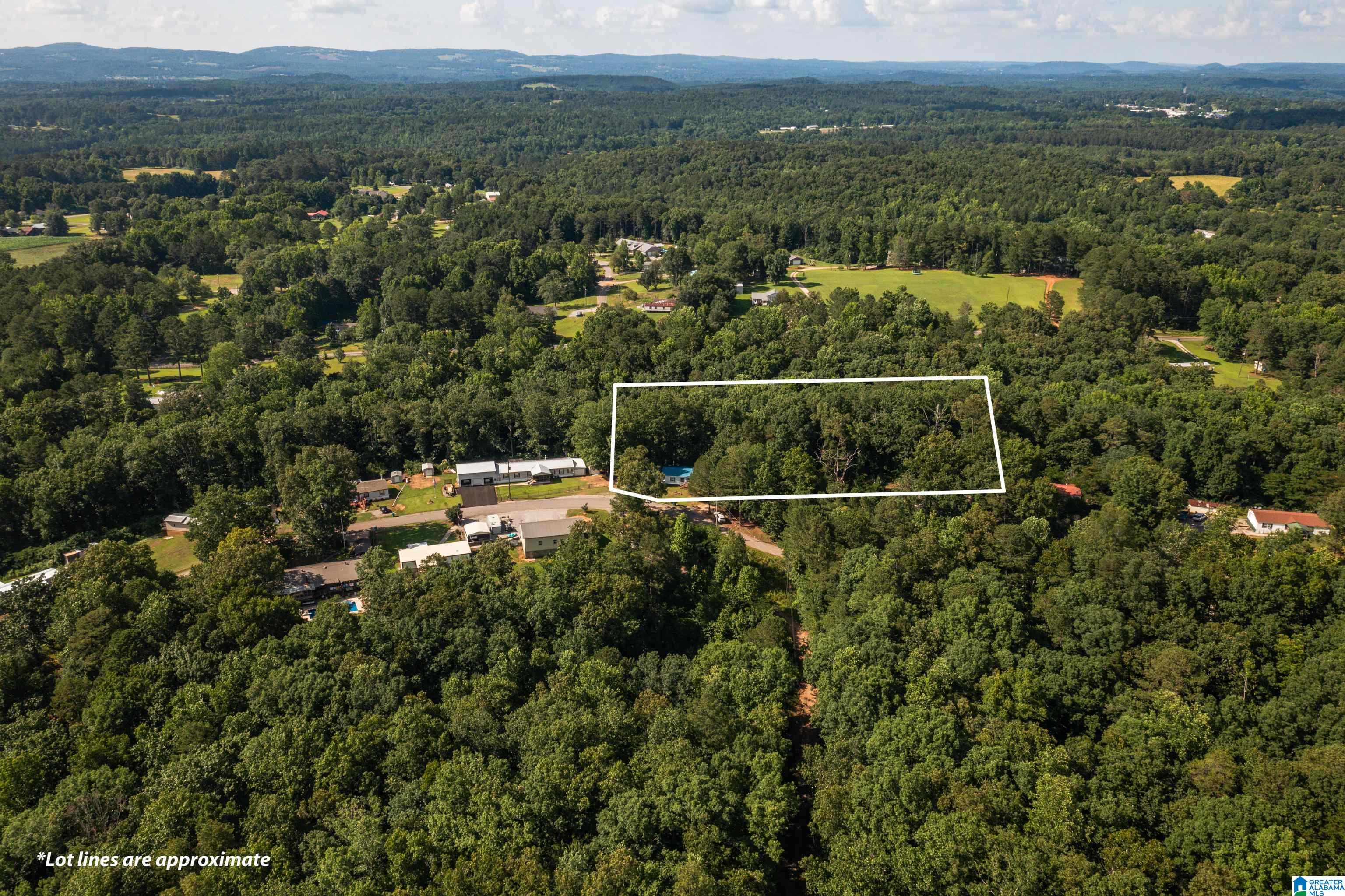 650 Davidson Drive Locust Fork, AL 35097 - Photo 6 of 55