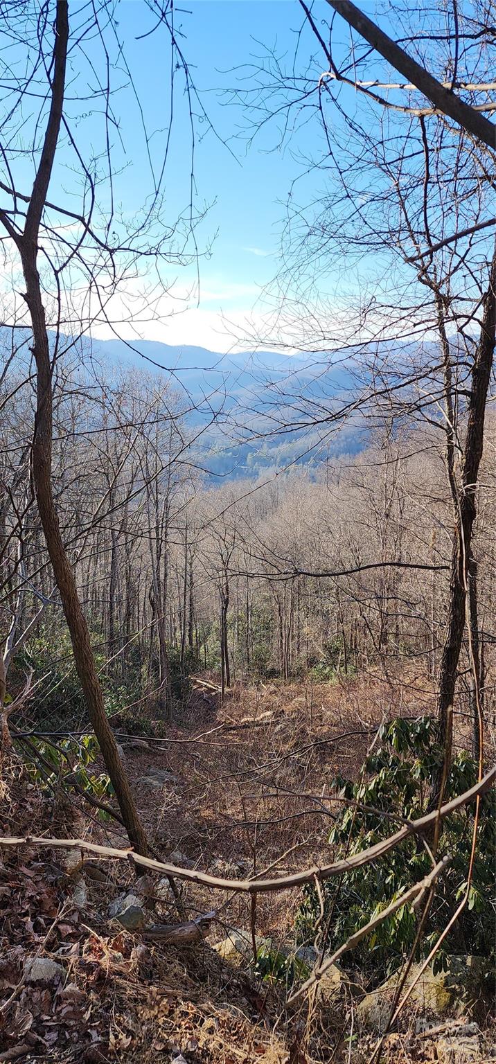 9999 Still Spring Road, Unit LOT 4 Black Mountain, NC 28711 - Photo 2 of 11