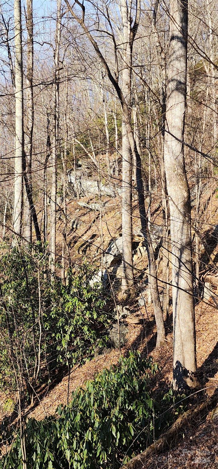 9999 Still Spring Road, Unit LOT 4 Black Mountain, NC 28711 - Photo 6 of 11