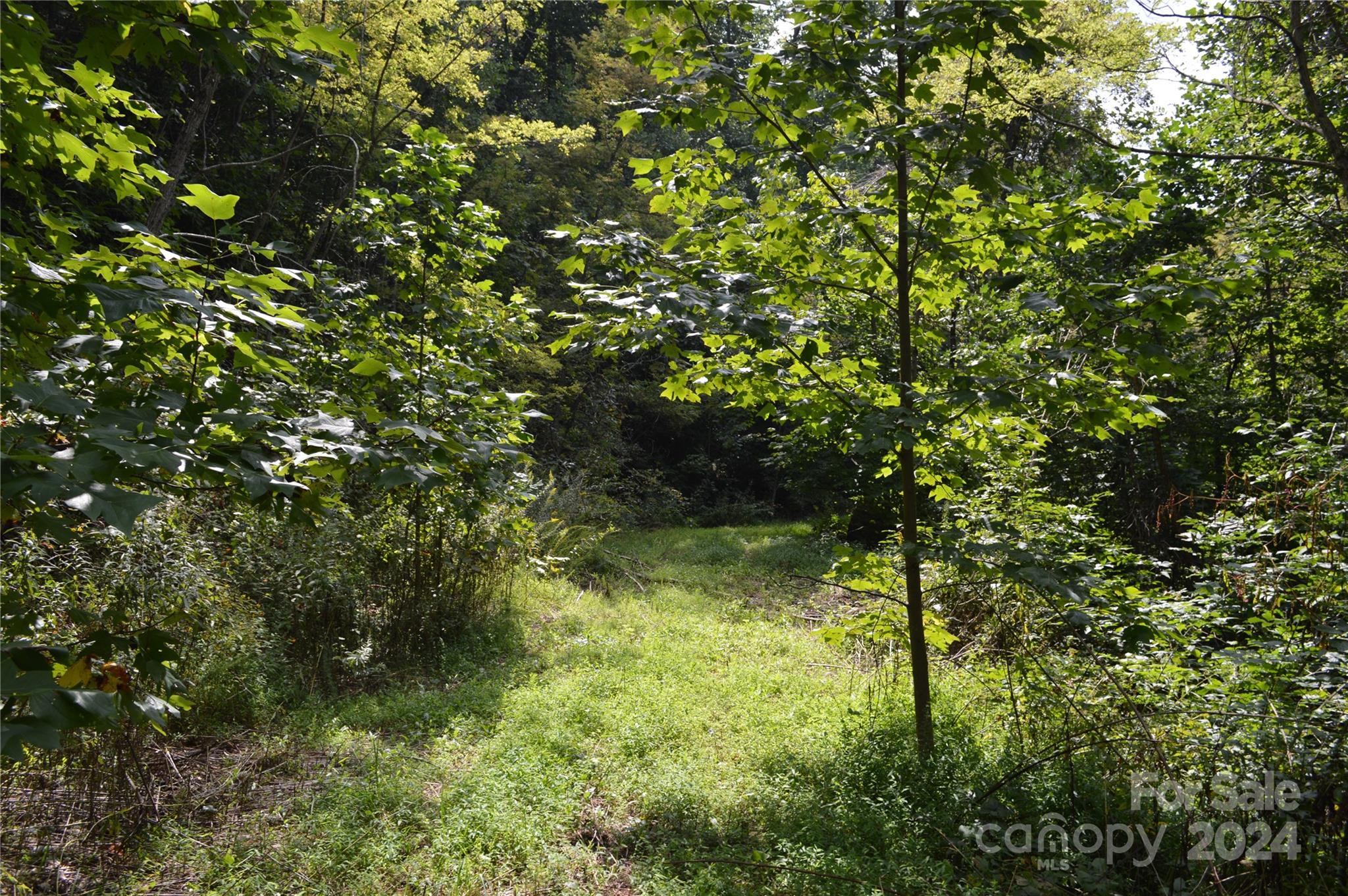 9999 Still Spring Road, Unit LOT 4 Black Mountain, NC 28711 - Photo 8 of 11
