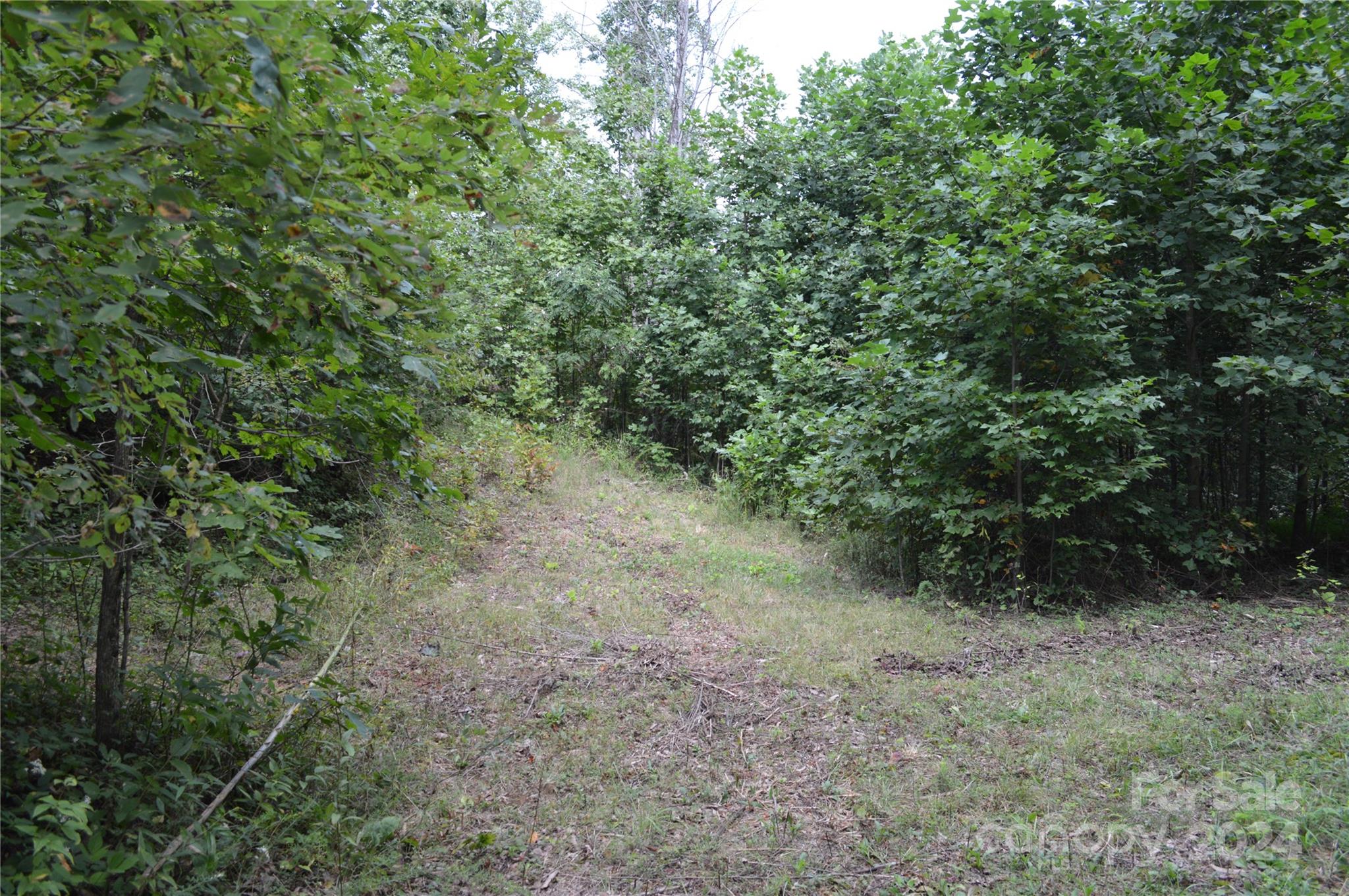 9999 Still Spring Road, Unit LOT 4 Black Mountain, NC 28711 - Photo 9 of 11