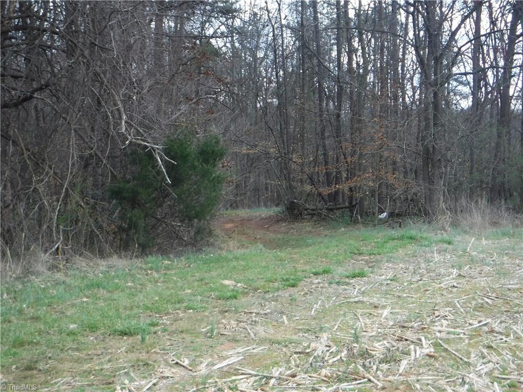 2850 Clingman Road Ronda, NC 28670 - Photo 11 of 12 Easement through the property