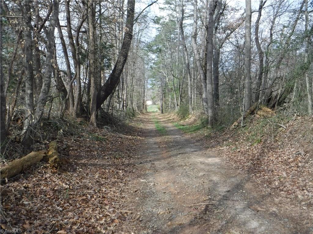 2850 Clingman Road Ronda, NC 28670 - Photo 3 of 12 The entrance road to the property