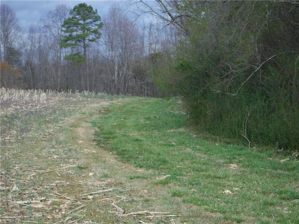 2850 Clingman Road Ronda, NC 28670 - Photo 8 of 12 the edge of the field and the easement road going through the property