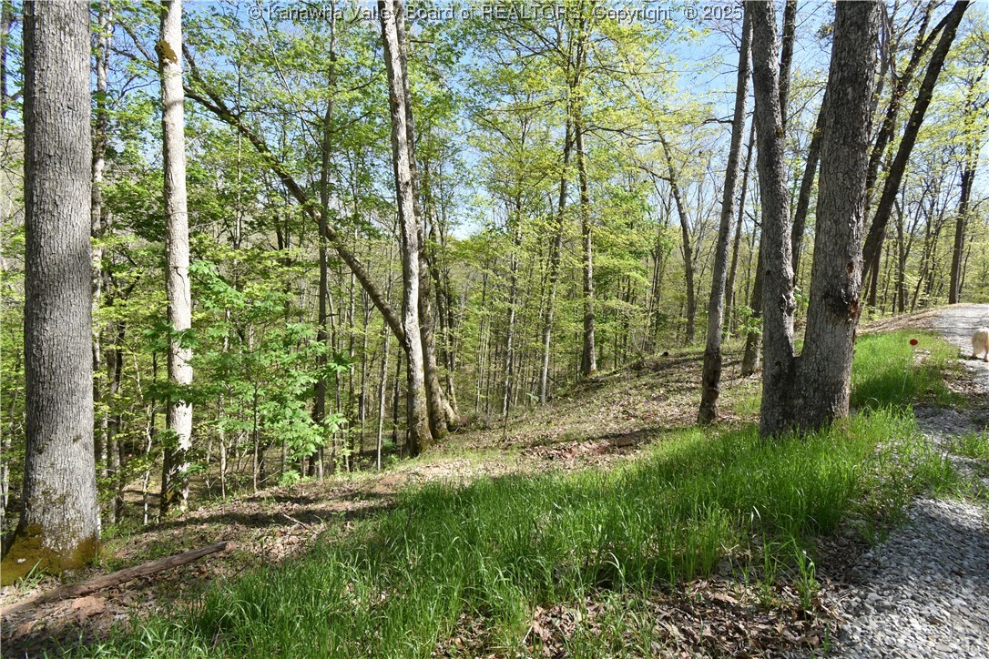 1193 Destiny Road Leon, WV 25123 - Photo 24 of 36 Gallery Image 24