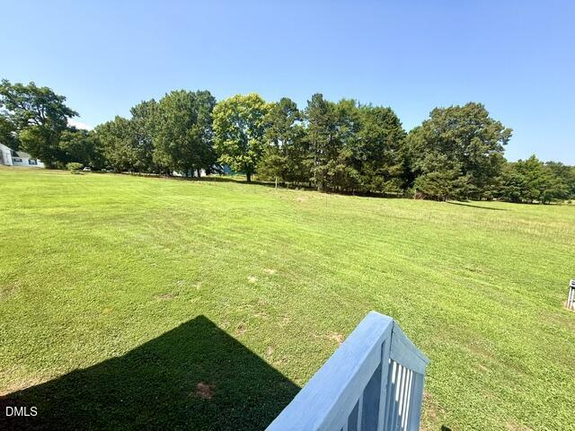 9200 Grassy Creek Road Bullock, NC 27507 - Photo 24 of 44 Yard