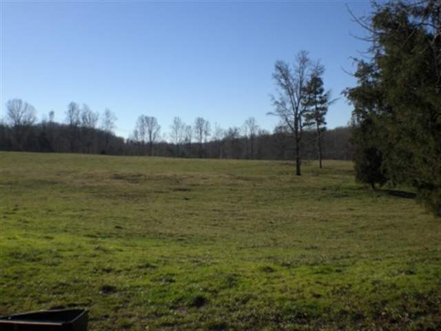 1049 Durbin Church Road Gray Court, SC 29645 - Photo 2 of 8