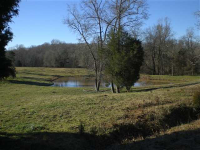 1049 Durbin Church Road Gray Court, SC 29645 - Photo 3 of 8