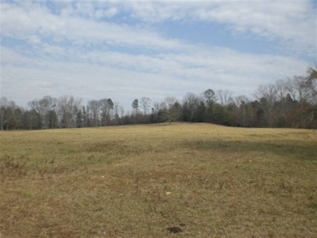 1049 Durbin Church Road Gray Court, SC 29645 - Photo 4 of 8