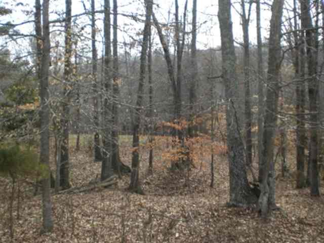 1049 Durbin Church Road Gray Court, SC 29645 - Photo 5 of 8