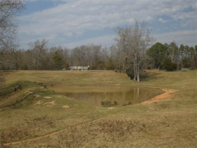1049 Durbin Church Road Gray Court, SC 29645 - Photo 6 of 8