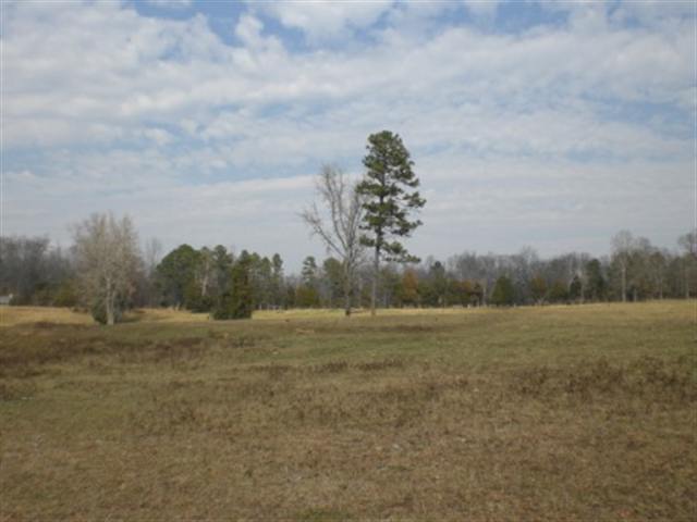 1049 Durbin Church Road Gray Court, SC 29645 - Photo 7 of 8