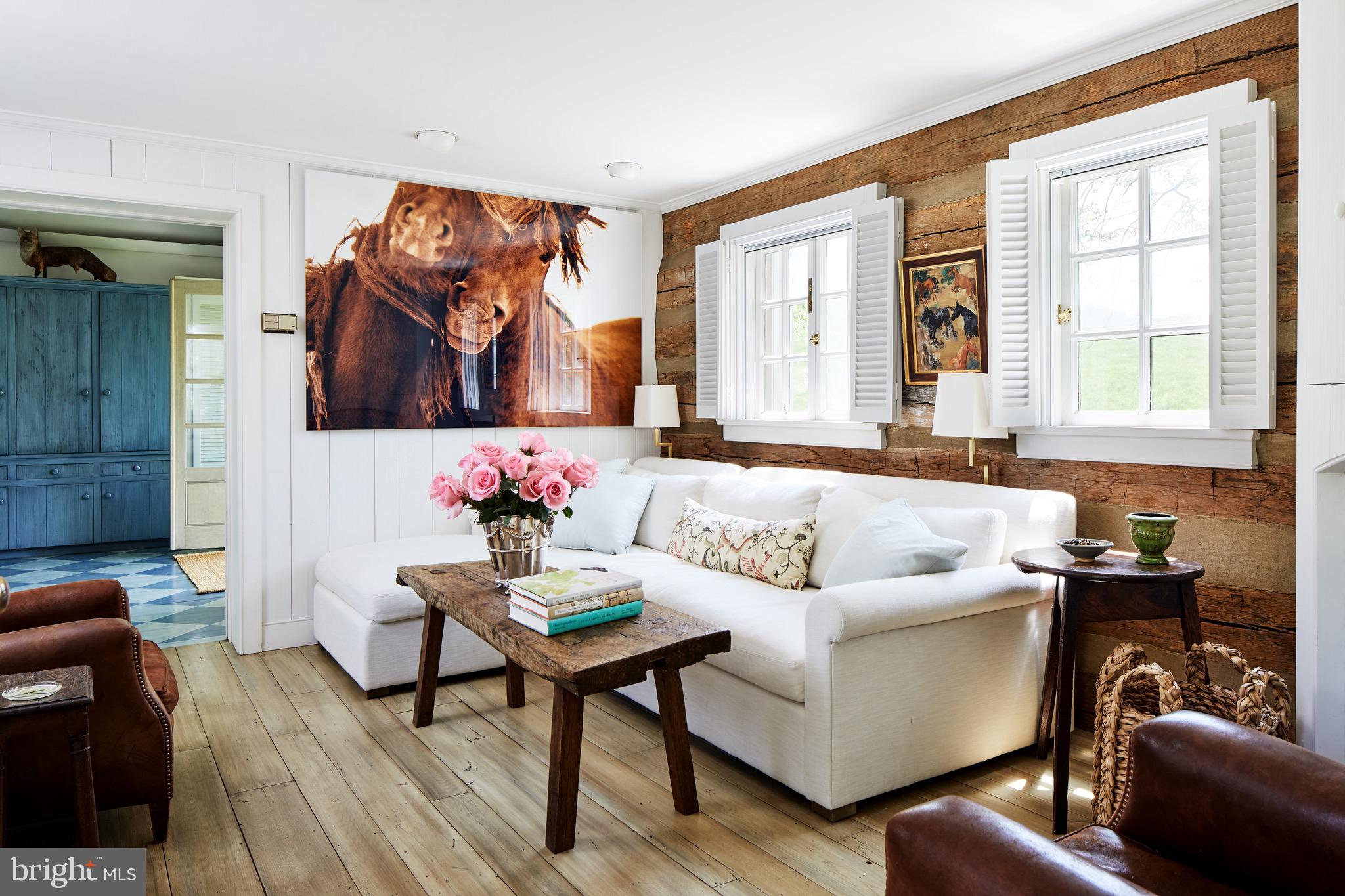 8360 Oak Spring Road Marshall, VA 20115 - Photo 4 of 58 Exposed log walls & faux painted floors