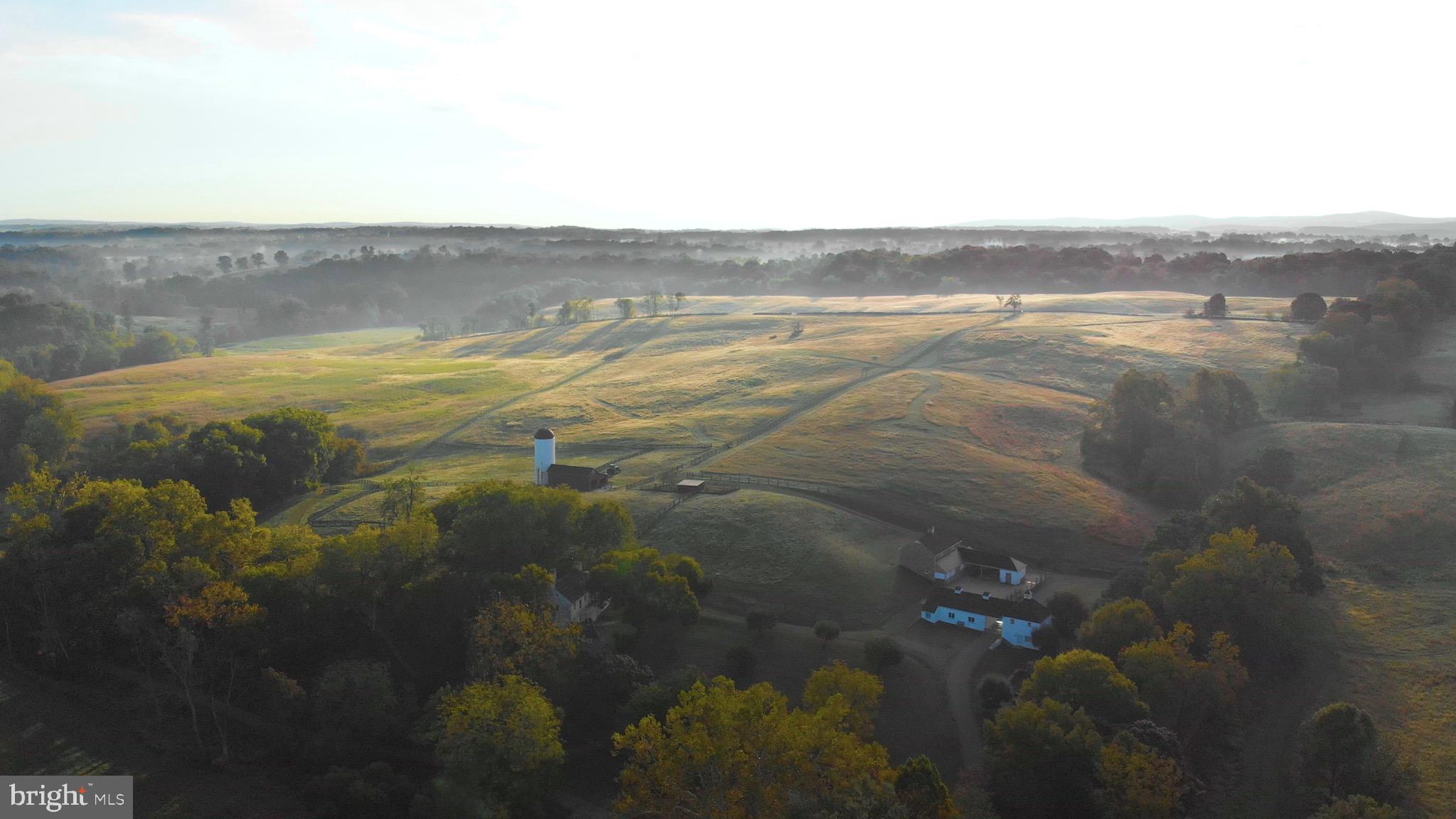 8360 Oak Spring Road Marshall, VA 20115 - Photo 51 of 58 Early morning light at Oak Spring Dairy
